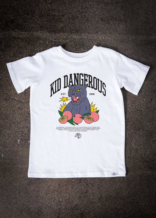 Products — Page 5 — Kid Dangerous