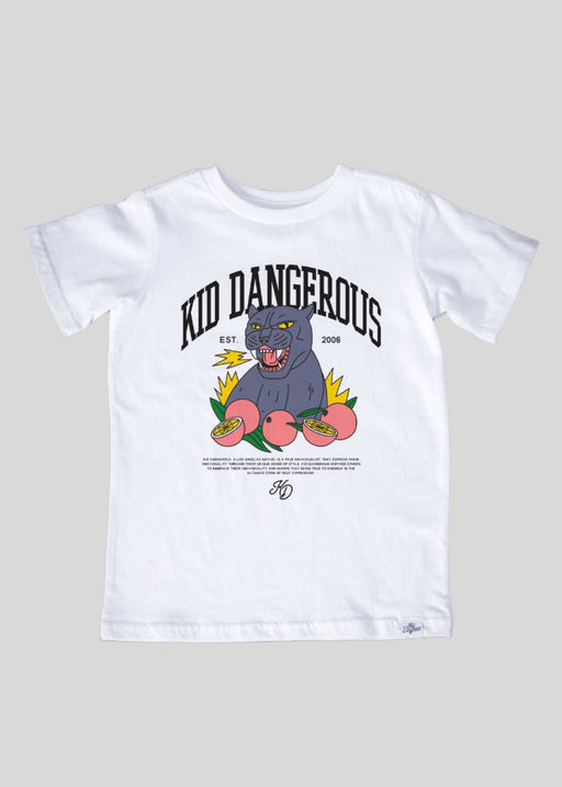 Products — Page 5 — Kid Dangerous